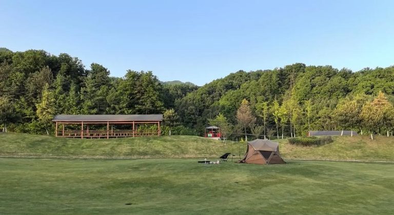Advantages of Remote-Controlled Lawn Mowers