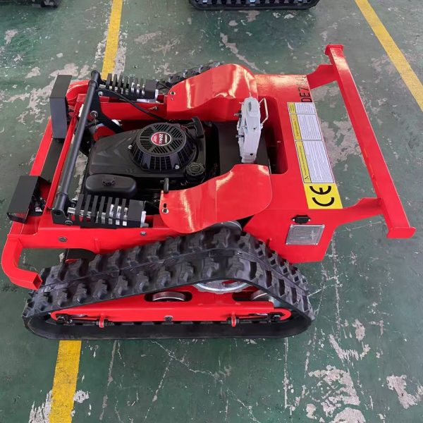 small RC lawn mower